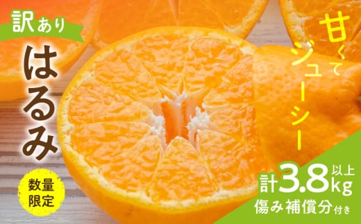 先行予約 訳あり はるみ 計3.8kg以上 傷み補償分付き 令和8年発送 期間限定 数量限定 フルーツ 果物 くだもの 柑橘 みかん オレンジ 国産 食品 デザート ジュース おやつ 希少 家庭用 不揃い 傷 規格外 訳アリ おすすめ おすそ分け 宮崎県 日南市 送料無料_AAV5-25