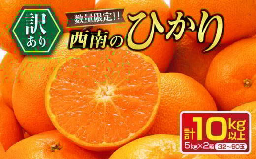年内お届け 先行予約 訳あり 西南のひかり 計10kg 希少 期間限定 数量限定 みかん オレンジ フルーツ 果物 くだもの 柑橘 国産 食品 デザート おやつ みかんジュース フルーツサンド おすそ分け 家庭用 自宅用 おすすめ 宮崎県 日南市 送料無料_CC53-24