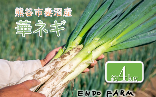 熊谷市産 はなを肥料に作られた環境保全型の循環農業から作られた華ネギ(めぬまネギ) ※11月から発送