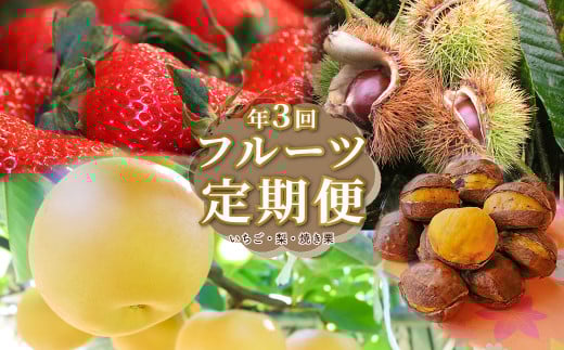 <フルーツ定期便(全3回)いちご 梨 焼き栗> fruit 苺 おすすめ 旬 果物 くだもの 高知県 佐川町産