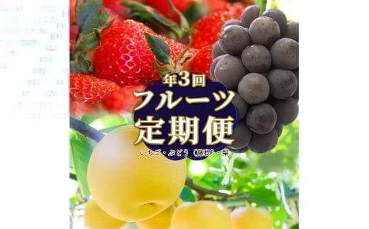[フルーツ 定期便(全3回)] [いちご 藤稔 梨] ぶどう fruit 苺 おすすめ 旬 果物 くだもの 高知県 佐川町産