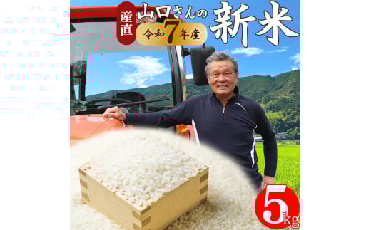 [ヒノヒカリ または にこまる 約5kg]新米 高知県 佐川町産 山間地米 旬 先行予約[2025年10月中旬〜12月末頃お届け]