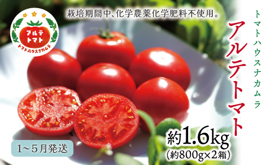 【2026年1月~5月頃発送】<アルテトマト 約1.6kg(20-35玉) > フルーツトマト トマトハウスナカムラ 栽培期間中化学農薬・化学肥料不使用