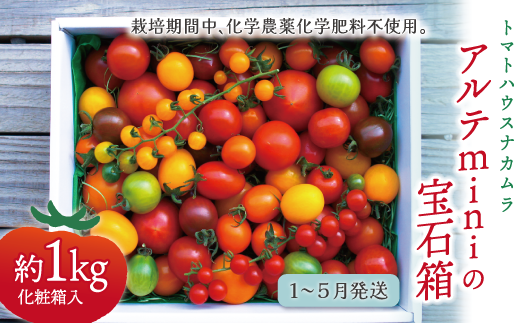 【2026年1月~5月頃発送】<アルテminiの宝石箱 約1kg×1箱>フルーツトマト 栽培期間中化学農薬・化学肥料不使用   トマトハウスナカムラ