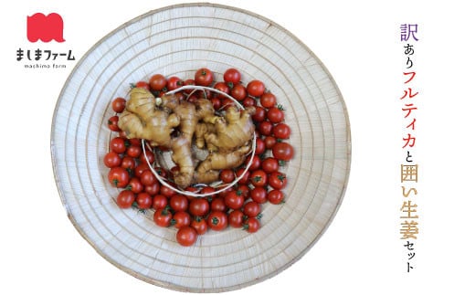 【毎年12月~7月頃まで発送】ましまファームアイメック®【訳あり・規格外】トマトと囲い生姜のセット