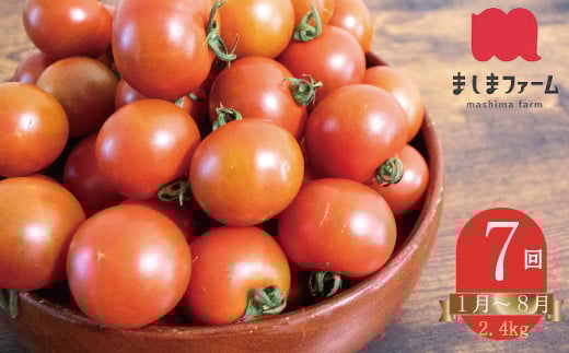 【2026年1月~8月頃発送】<約2.4kg×7回 定期便>訳あり アイメック フルティカ トマト ましまファーム ミニトマト フルーツトマト ワケあり 規格外