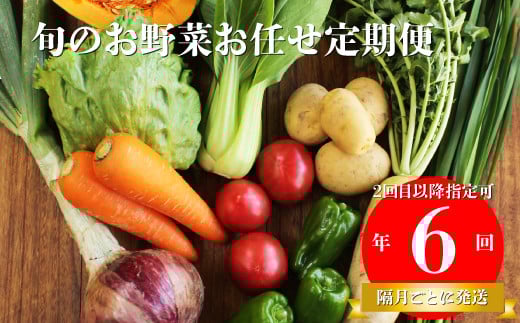 【年6回】高知から直送！旬の季節のお野菜定期便（7~9品）2回目以降着日指定可能 産地直送 旬の時期にお届け