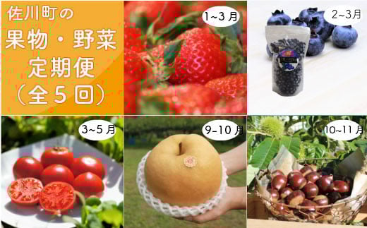 <佐川のフルーツ・野菜 定期便(全5回)>いちご 冷凍ブルーベリー フルーツトマト 梨 夢甘栗