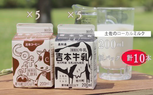 <吉本牛乳(さかわの地乳)・ 吉本コーヒー 各200ml×5本 合計10本>  コーヒー牛乳 吉本乳業 高知県 佐川町 成分無調整 生乳100% ぢちち NHKあさイチで紹介 ご当地牛乳