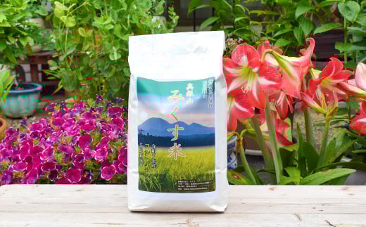 【令和7年産 先行予約】産地直送　源流に育まれた、コシヒカリ米（5kg）【コシヒカリ 5kg 先行予約 お米 令和7年 こしひかり 令和7年度産 2025年度産 島根県産 精米 白米 新米 大田市産 米 こめ おこめ 産地指定 JA 島根県 大田市】