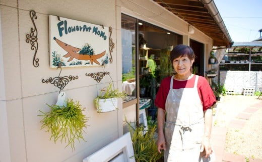 季節の多肉植物寄せ植え体験【現地体験型 ワークショップ 寄せ植え体験 手植え 四季の植物 多肉植物 植物 グリーン おすすめ よせうえ 観葉植物 癒し かわいい 自然 島根県 大田市】