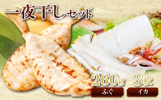 日本海が育んだ絶品 ふぐ・白いか一夜干詰合せ【ふぐ いか フグ 干物 260g 5尾~11尾 1箱 白いか 干物 3枚 河豚 イカ 烏賊 ケンサキイカ 一夜干し 贈答 ギフト 父の日 母の日 国産】