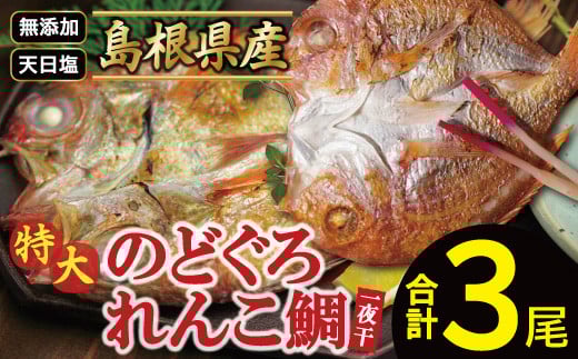 れんこ鯛と特大のどぐろ一夜干しセット【干物セット のどぐろ干物 1尾 261~290g れんこ鯛干物 2尾×161~180g 無添加 のどぐろ ノドグロ 特大 れんこ鯛 キダイ 干物 真空パック 父の日 母の日】