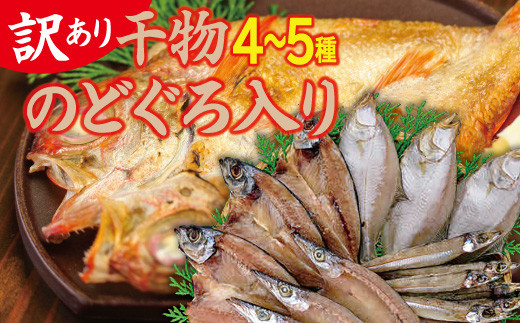 【訳あり】魚の干物おまかせ詰合せセット（のどぐろ入り） 【干物 4～5種 ランダム お楽しみ 島根県産 大田市 魚介類 のどぐろ 白いか アジ カレイ 無添加 天日塩 減塩仕立て 冷凍】