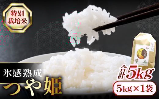氷感熟成「つや姫」5kg【米 5kg つや姫 特別栽培米 こめ おこめ お米 島根県産 大田市産 氷感熟成 石見銀山氷感つや姫 減農薬 減化学肥料】