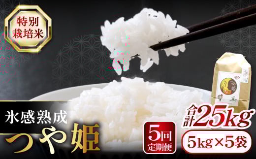 【定期便】氷感熟成「つや姫」定期便(5kg×5回お届け) 【米 定期便 つや姫 お米 5kg 定期 5回 特別栽培米 5kg×5回 合計25kg 島根県産 大田市産 こめ おこめ 氷感熟成 減農薬】