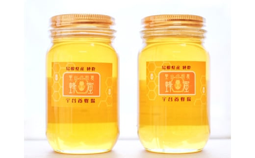 大田市産の純粋はちみつ(300g×2本セット)【はちみつ 蜂蜜 ハチミツ 300g 2本 セット 詰め合わせ 純粋蜂蜜 熟成蜂蜜 プレゼント ギフト 贈り物】