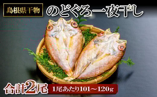 旨みを引き出した のどぐろ一夜干し 2尾【のどぐろ一夜干し 1尾あたり101~120g のどぐろ干物 のどぐろ ノドグロ のど黒 あかむつ アカムツ 干物 個包装 小分け 真空パック 冷凍 父の日 母の日】
