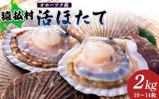 「活ほたて」2kg(10~14枚) オホーツク産【1601001】