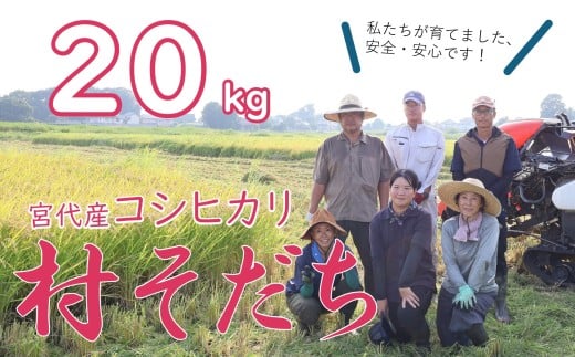 【宮代町】新しい村で育てた  コシヒカリ「村そだち」令和7年産新米 20kg