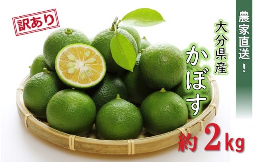 [先行予約][訳あり][選べる容量]農家直送!竹中農園 かぼす 約2kg_2473R