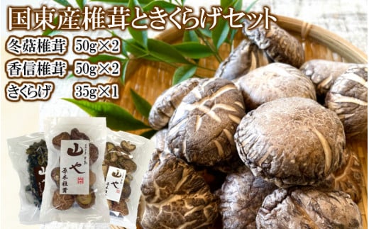 [数量限定]山やの乾しいたけときくらげのセット 希少 純国産 きくらげ_1747R