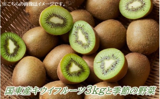 [先行予約]国東産キウイフルーツ3kgと季節の野菜_2595R