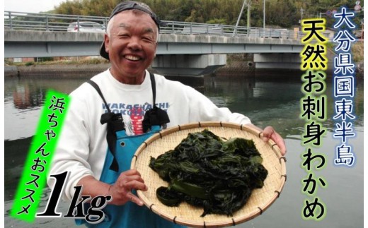 国東半島の天然お刺身わかめ(1㎏)_051Z