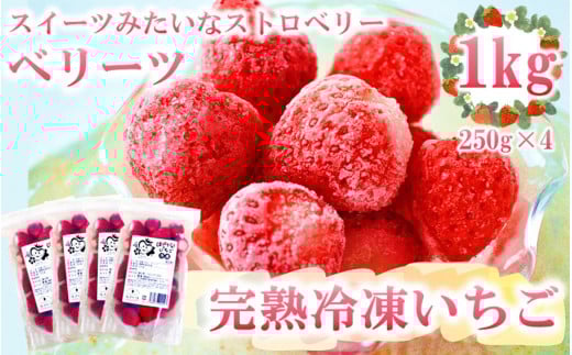 美味しさそのまま！苺屋の冷凍いちご1kg（250g×4P/品種:ベリーツ）_2148R