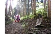 世界遺産「紀伊山地の霊場と参詣道」の保全や活用