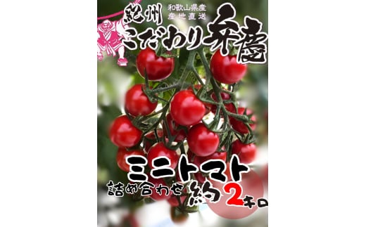 M010 こだわりミニトマト詰め合わせ