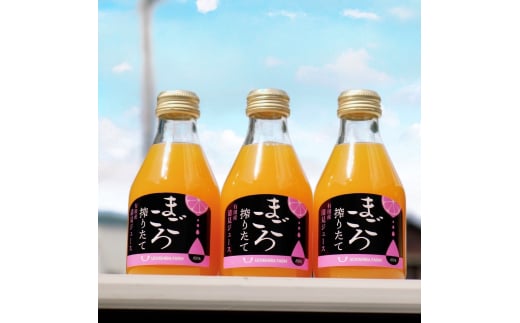 M081 まごころ搾りたて有田産清見ジュース180ml 12本入