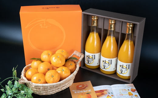 M086 有田みかんの味皇720ml×3本