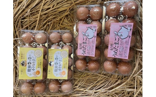 M169　紀州うめたまごと龍神コッコたまごセット