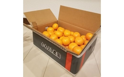 M250 かねよし農園みかん5kg Sサイズ