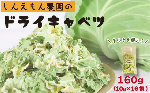 先行予約 ドライキャベツ 計160g (10g×16袋) きゃべつ 野菜 葉物 乾燥キャベツ 国産 銚子産【11～5月発送】ちょい足し 味噌汁 スープ ラーメン 焼きそば 乾燥野菜 カット野菜 手軽 簡単 お取り寄せ グルメ ギフト 贈物 贈答 プレゼント 保存 ふるさと納税野菜 ふるさと納税 送料無料 10000 10,000 千葉県 銚子市 しんえもん農園