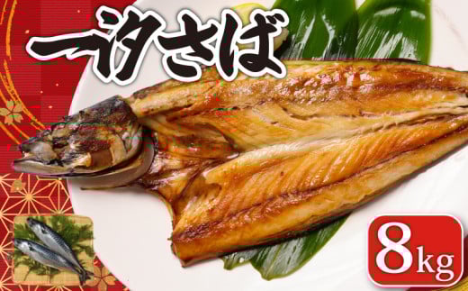 一汐さば 8kg さば 鯖 さぬき塩 塩 塩さば 塩鯖 鯖の開き 無添加 添加物不使用 ノルウェー 厳選 海の幸 大容量 おつまみ お弁当 惣菜 塩焼き おかず 調理用 料理 素材 冷凍 冷凍品 長期保存 保存食 鮮度 旨味 お取り寄せ グルメ 食品 魚 魚貝 魚介 ギフト 贈物 贈り物 プレゼント 海鮮 ふるさと納税鯖 ふるさと納税さば ふるさと納税 千葉県 銚子市 送料無料 エドノフーズ