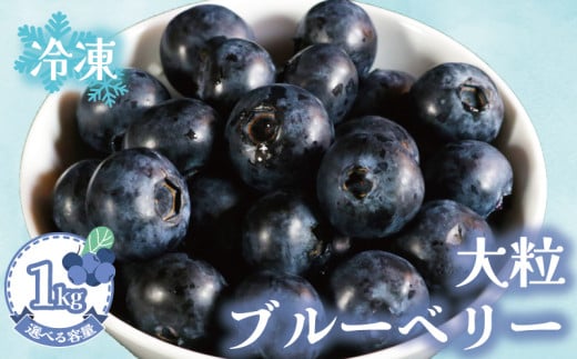 冷凍ブルーベリー 【選べる容量】約1kg（1袋500g×2） ブルーベリー 冷凍 フルーツ 大粒 特大 美容 健康 ダイエット 冷凍食品 デザート 果物 くだもの スムージー 朝食 ジャム ヨーグルト チーズケーキ クレープ ロールケーキ タルト お菓子 トッピング 贈答 プレゼント 国産 お取り寄せ グルメ ふるさと納税 送料無料 銚子産 千葉県 銚子市 アグリモバード