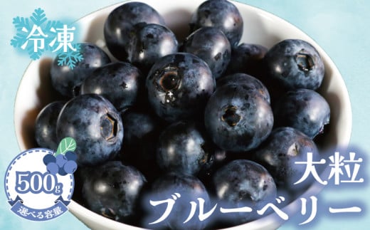 冷凍ブルーベリー 【選べる容量】約500g（1袋500g） ブルーベリー 冷凍 フルーツ 大粒 特大 美容 健康 ダイエット 冷凍食品 デザート 果物 くだもの スムージー 朝食 ジャム ヨーグルト チーズケーキ クレープ タルト お菓子 トッピング 贈答 プレゼント 10000円 国産 お取り寄せ グルメ ふるさと納税 送料無料 銚子産 千葉県 銚子市 アグリモバード