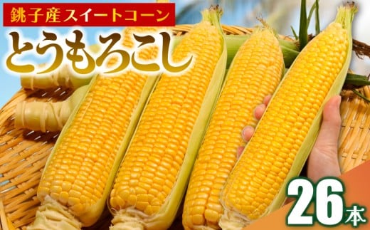 【先行予約】 とうもろこし 26本 数量限定 期間限定 産地直送 鮮度抜群 大容量 旬の野菜 旬の味覚 夏の風物詩 甘い トウモロコシ イエローコーン スイートコーン 夏野菜 バターコーン コーン スープ 特産品 とうきび プレゼント 贈り物 ギフト 贈答 お取り寄せ グルメ お取り寄せグルメ 発送時期 2026年7月中旬～(なくなり次第終了)  ふるさと納税 送料無料 千葉県 銚子市 小野商店