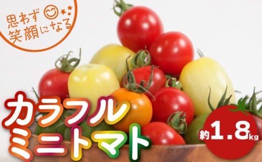 【先行予約】 カラフルミニトマト 約1.8kg ミニトマト トマト カラフルミニトマト プチトマト 野菜 国産 フラガール アイコ tomato サラダ 華小町 サングリーン サンオレンジ こだわり アレンジ レシピ ピザ カプレーゼ お弁当 千葉県 銚子市 ふるさと納税 ふるさと納税トマト とまりこ食堂 とまりこ Lindo tomaco farm 【2025年10月上旬-11月中旬頃発送予定】
