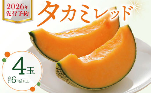 メロン 3L 4玉入 タカミレッド 【 先行予約 】 2026 期間限定 季節限定 くだもの フルーツ ジューシー 大きい 果物 おやつ スイーツ 夏 メロン 赤肉 赤肉メロン めろん 旬 季節 上品 甘い スッキリ デザート 厳選 贈答 ギフト プレゼント 国産 お取り寄せ 産直 産地直送 農家直送 果汁 贅沢 ご褒美 高糖度 たかみ 貴味 送料無料 ふるさと納税 千葉県 銚子市 みきファーム