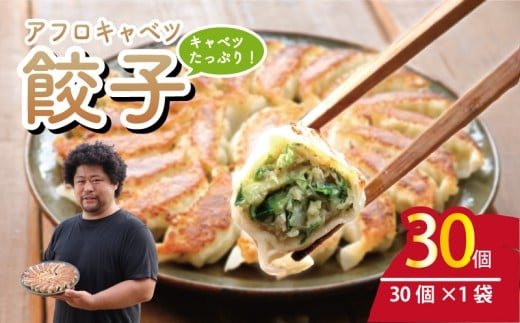 餃子 30個 きゃべつ 餃子 ぎょうざ ギョーザ 肉 汁 豚肉 国産 食品 小分け 大容量 キャンプ 野菜 やさい 弁当 惣菜 おかず おつまみ 冷凍餃子 冷凍ギョーザ 冷凍 冷凍食品 点心 鶏肉 豚肉 野菜 簡単調理 贈答 贈り物 プレゼント ギフト お取り寄せ グルメ おいしい 家庭用 中華 送料無料 ふるさと納税 ふるさと納税ぎょうざ ふるさと納税餃子 千葉県 銚子市 くるくるやっほー