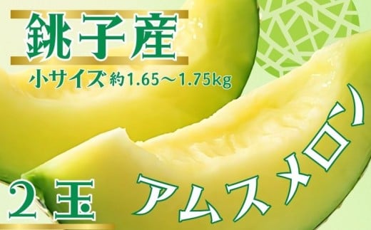 銚子産 アムスメロン！ 2玉 小サイズ  (1玉約1.65〜1.75kg未満)    メロン 青肉 果物 とろ甘16 高糖度 フルーツ ギフト プレゼント 贈答 贈り物 お取り寄せ デザート スイーツ ケーキ ゼリー ジュース 期間限定 国産  産地直送  農家直送 ふるさと納税 送料無料 千葉県 銚子市 弥兵衛  【6月下旬〜7月中旬発送】
