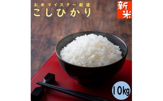 新米 令和7年産 千葉県産コシヒカリ10kg  米 こめ コメ お米  根本商店