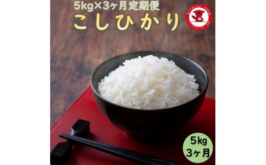 3カ月定期便 新米 令和7年産 千葉県産コシヒカリ5kg