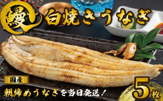 国産うなぎ 白焼き 5枚 約120g×5 うなぎ 鰻 白焼き 蒲焼 定期便 うな重 鰻丼 うな丼 ひつまぶし 土用の丑の日 土用丑 魚 海鮮 魚介類 肉 肝 レバー 冷蔵 おつまみ おかず 惣菜 酒 ビール 焼酎 日本酒 ウイスキー チューハイ お取り寄せ ギフト プレゼント 贈答 贈答用 贈り物 内祝い お中元 お歳暮 母の日 父の日 敬老の日 千葉県 銚子市 有限会社石毛川魚店