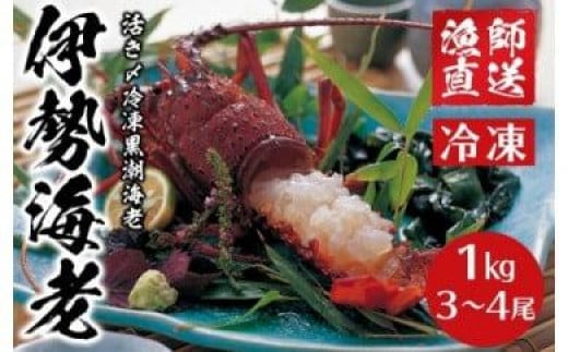 【先行予約】2025年8月～発送 活き〆冷凍銚子黒潮海老（伊勢海老） 1kg （3～4尾） 活き〆 冷凍 銚子産 黒潮 海老 えび 伊勢海老 イセエビ ギフト 贈物 贈答 プレゼント お祝い 祝 お取り寄せ グルメ 食品 冷凍食品 ふるさと納税 ふるさと納税伊勢海老 千葉県 銚子市 健丸