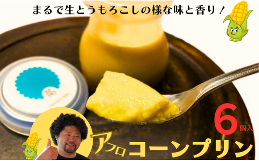 アフロコーン プリン  6個 千葉県 銚子産 とうもろこしのプリン まるで生とうもろこしのような味と香り! アフロコーン プリン とうもろこし 生とうもろこし トウモロコシ デザート おやつ お取り寄せ ごほうび こだわり お菓子 冷凍 規格外 規格外野菜 送料無料 ギフト 贈り物 贈物 千葉県 銚子市 Hennery Farm 株式会社くるくるやっほー