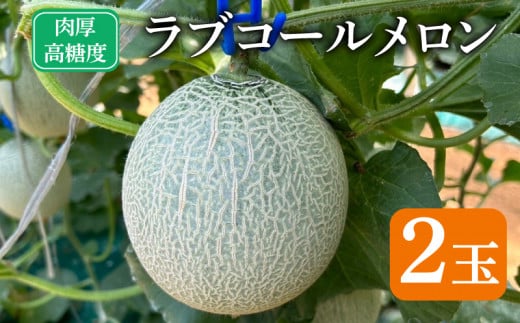先行予約 メロン 2玉 ラブコール 数量限定 フルーツ 果物 国産 産地直送 食品 ゼリー アイス クレープ ケーキ シャーベット 人気 おすすめ 贈答 贈り物 プレゼント ギフト お取り寄せ 送料無料 ふるさと納税 ふるさと納税メロン ふるさと納税フルーツ 千葉県 銚子市 はぎわらファーム 【発送時期 2026年7月~なくなり次第終了】